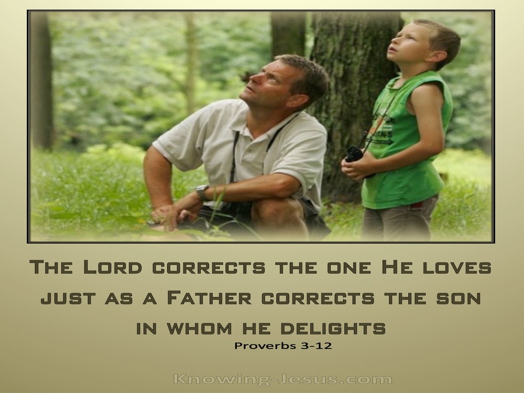 Proverbs 3:12 God Corrects Us